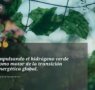 Ignacio Purcell Mena y la apuesta estratégica por el hidrógeno verde