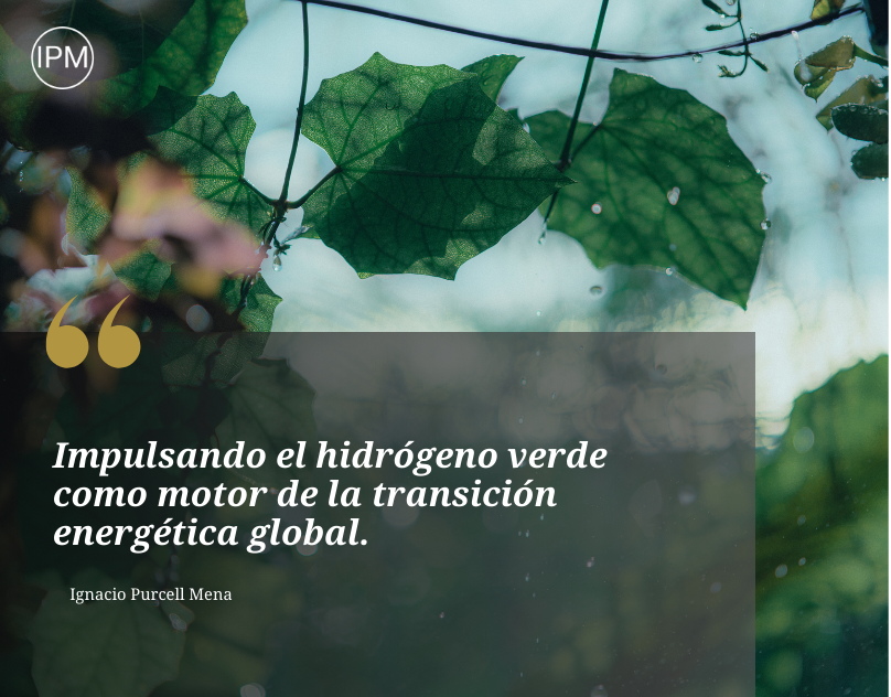 Ignacio Purcell Mena y la apuesta estratgica por el hidrgeno verde