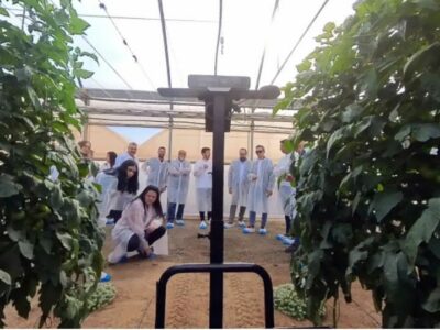 Cajamar Innova Agrotech lanza tres nuevos Retos Tecnológicos para impulsar la innovación en el sector agroalimentario