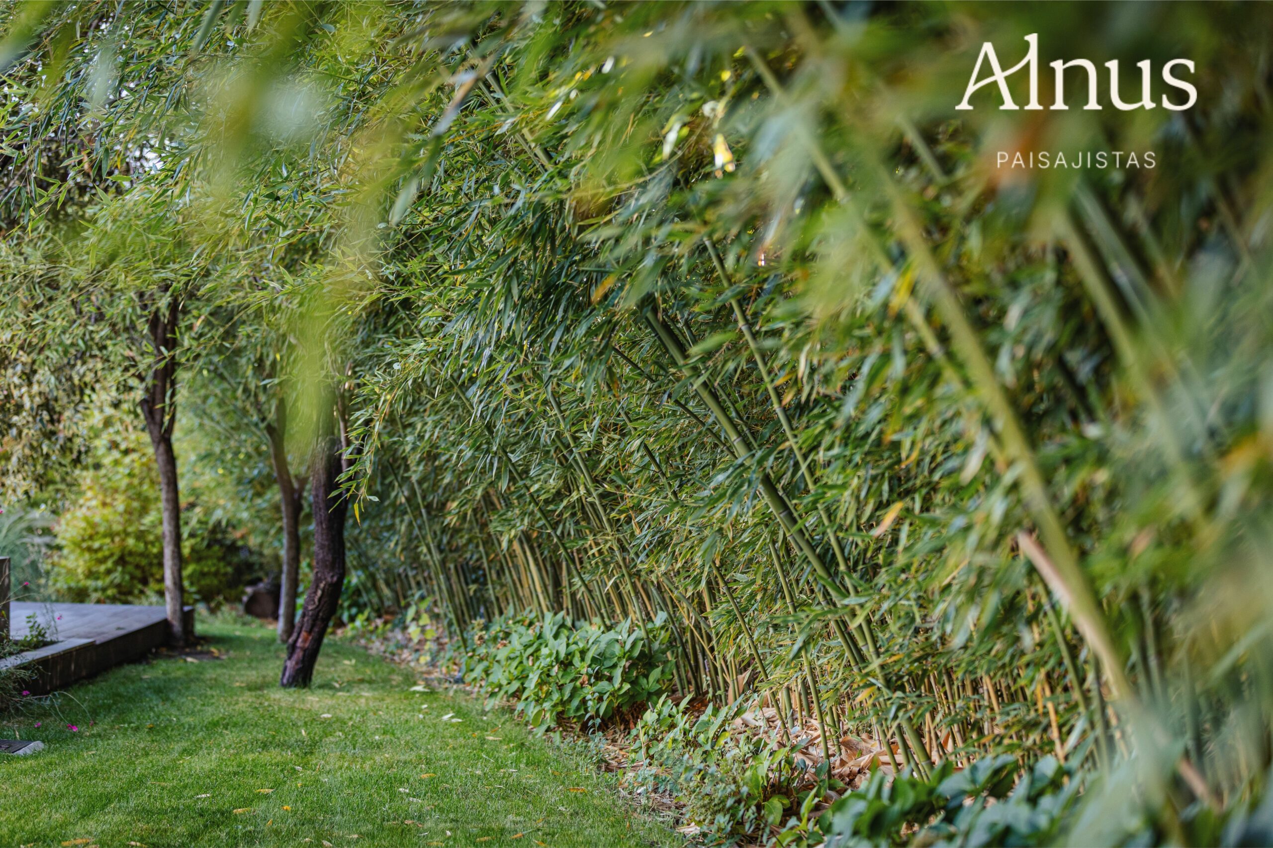 diseo jardines scaled