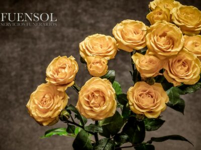 Fuensol conmemora dos décadas de trayectoria en el sector funerario con el lanzamiento de nuevos planes de planificación anticipada y renovación digital