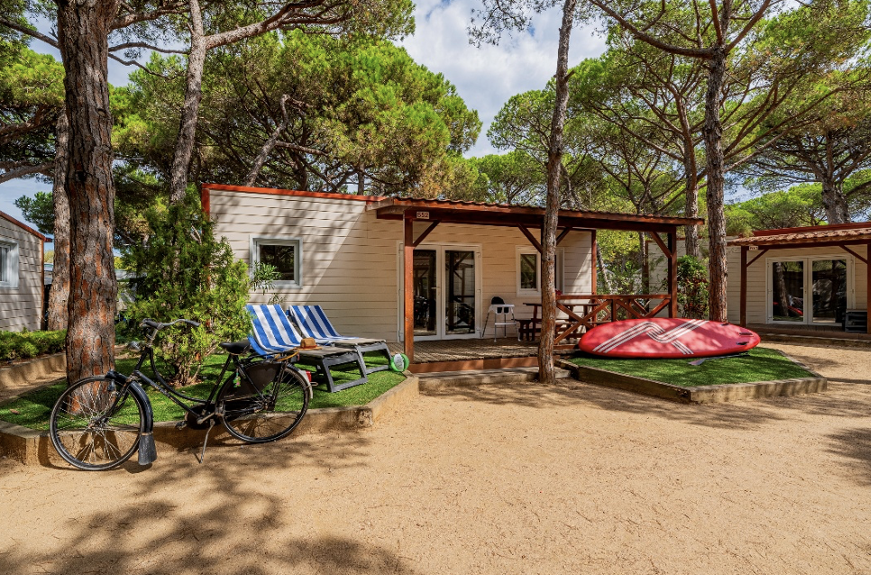 Captura de pantalla 2026 02 11 a les 181817