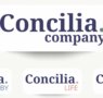 Concilia.company afirma que la próxima crisis empresarial no es climática sino humana