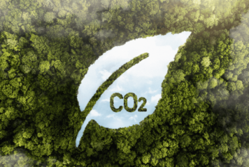 Nueva obligación para grandes empresas: el cálculo de la huella de carbono