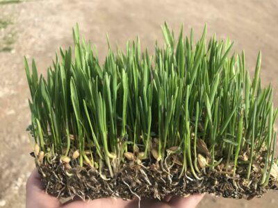 BioPalacín Planet alerta sobre la importancia del relevo generacional en el campo