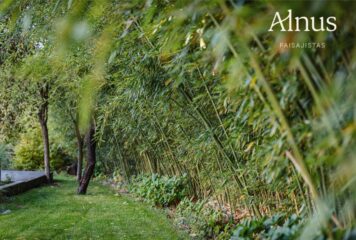 Inicio 69 Alnus Paisajistas consolida su trayectoria como estudio de paisajismo sostenible en Madrid