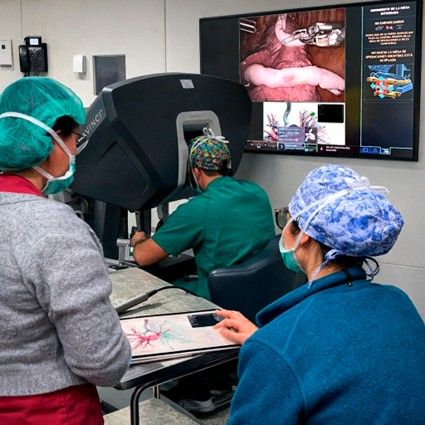 foto cabecera Da Vinci