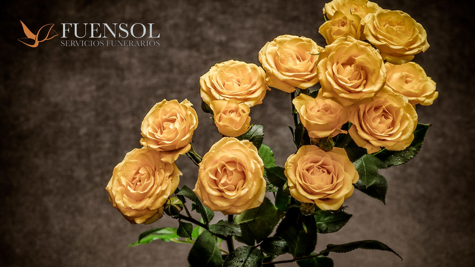 fuensol funeraria malaga marbella