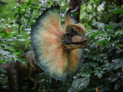 Los dinosaurios cobran vida en San Martín de Valdeiglesias (Madrid): Dinolandia abrirá el 2 de abril