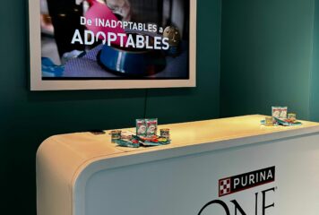 Inadoptables, la nueva campaña de Purina ONE para concienciar sobre cómo los sesgos afectan en la adopción animal