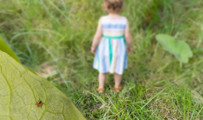 Inicio 6 Síntomas y prevención de la infección por Lyme en jóvenes