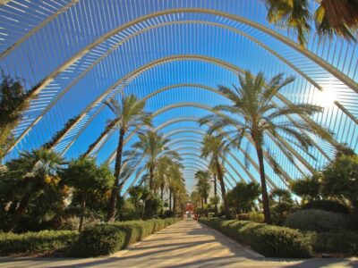 Valencia lidera el ranking de las ciudades más saludables de España, según un estudio de Altezza Travel