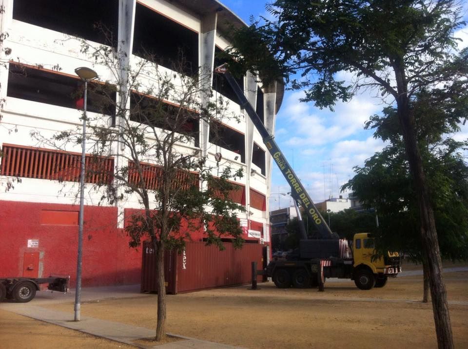 12540558 1687358574851372 4572100654709271544 n 1