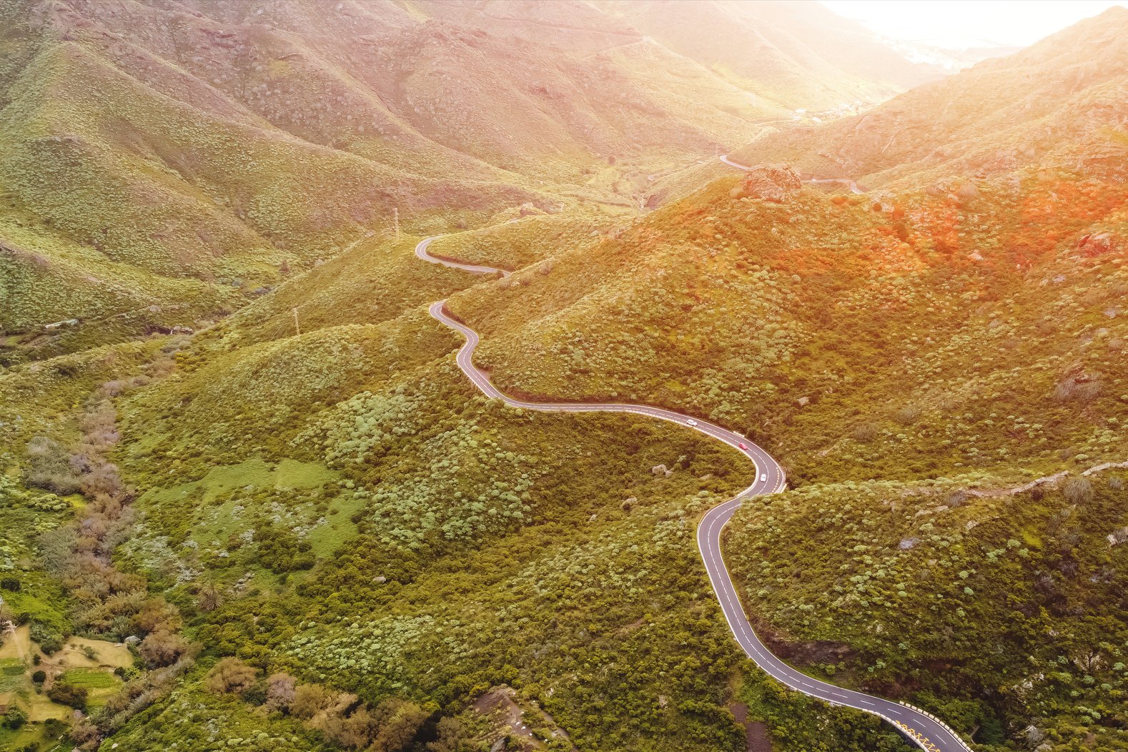 Captura de pantalla 2026 03 24 173508