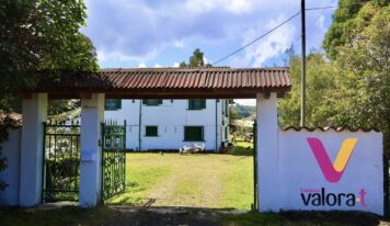 Albert Ollé y Casa Alegría: proteger la infancia cuando el entorno falla