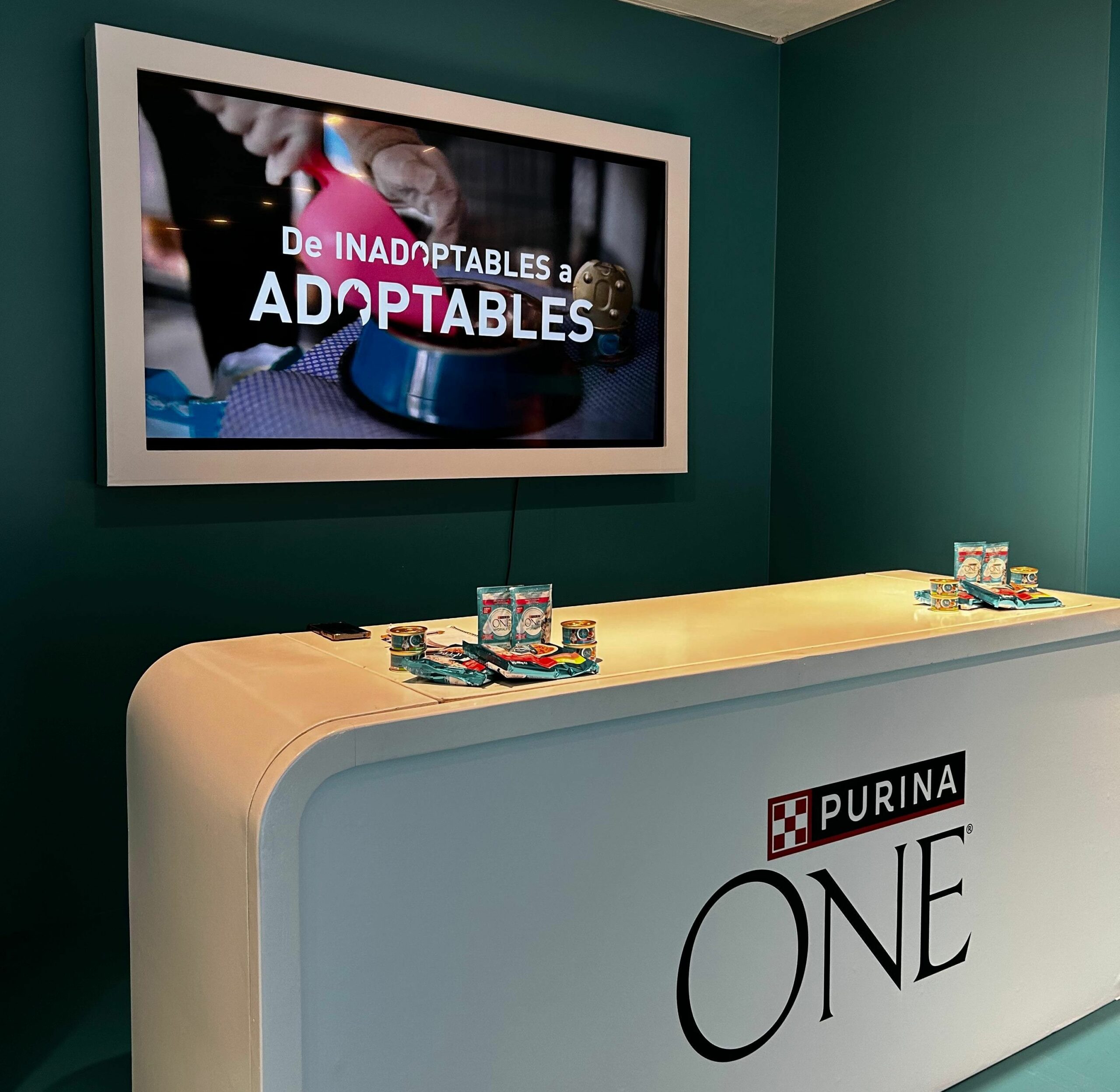 Purina ONE Espacio inmersivo scaled