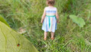 Síntomas y prevención de la infección por Lyme en jóvenes