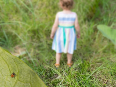 Síntomas y prevención de la infección por Lyme en jóvenes