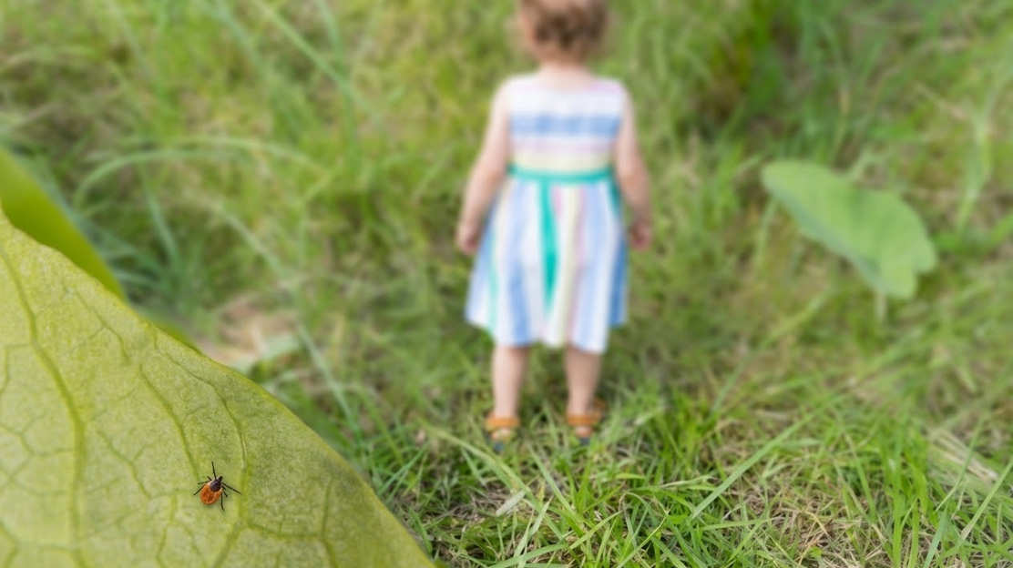 Síntomas y prevención de la infección por Lyme en jóvenes