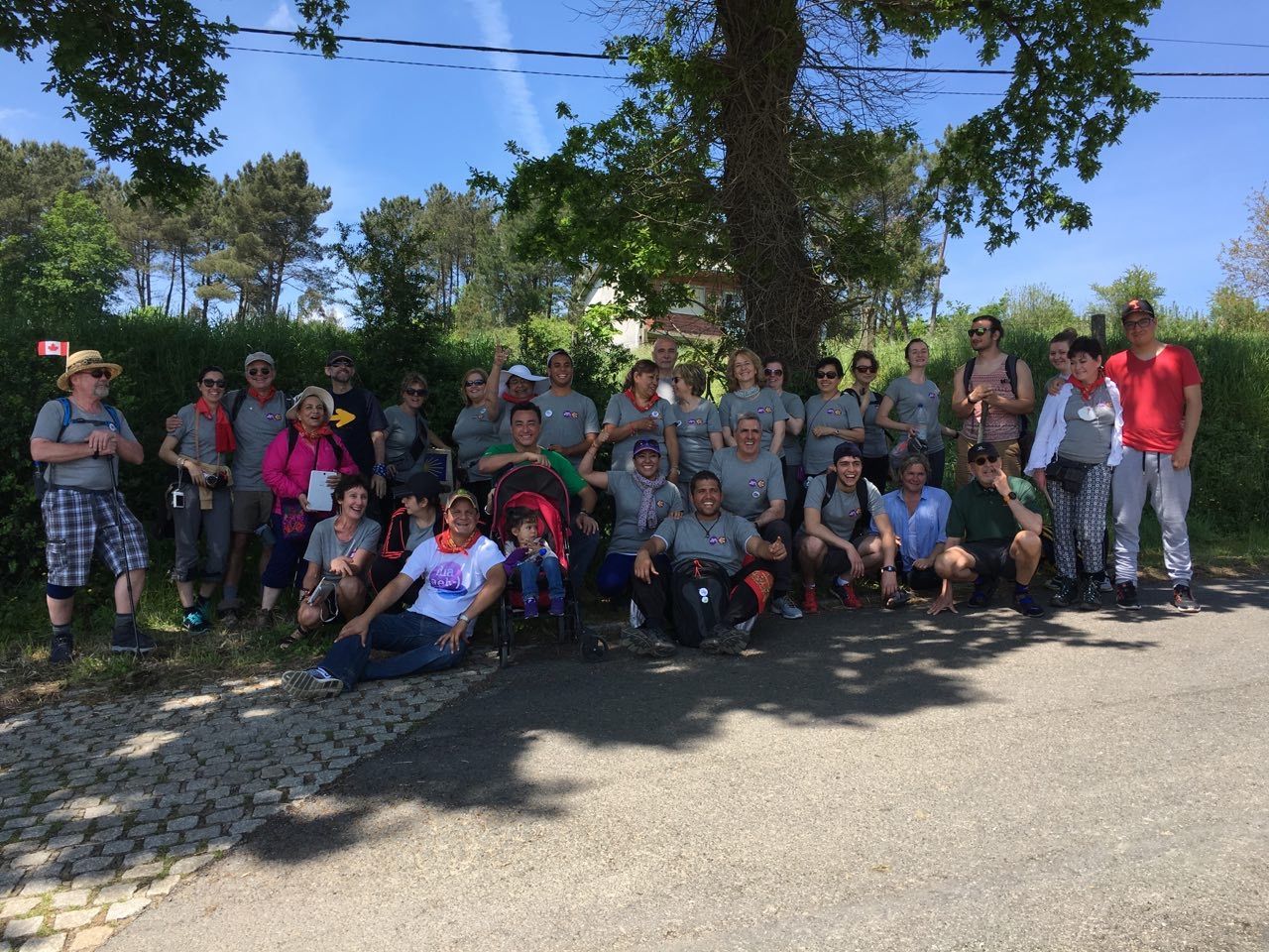 aedaf camino de santiago 2