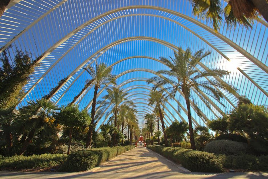 pexels pexels photo 14419185