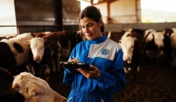 Provacuno lanza una aplicación web para medir la huella de carbono del vacuno de carne en España