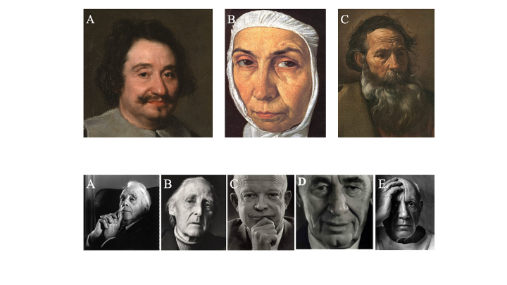 Imagenes empleadas en el estudio