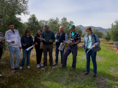 La Fundación PepsiCo lanza la segunda edición de VivaOliva para contribuir a la transformación del olivar de Jaén con agricultura regenerativa