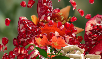 Sugieren que extracto de granada y probióticos alivian Intestino Irritable según Univ. de Extremadura y SES