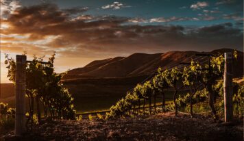 Obergo propone nuevos maridajes para su Chardonnay de Obergo en la temporada primaveral