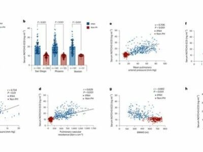 Cloud-Clone impulsa un descubrimiento clave publicado en Nature Medicine sobre un nuevo biomarcador para la HAP idiopática